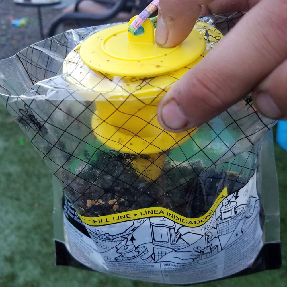 Hanging Fly Trap Bag with Fly  - Bug Catching Kit recension och pris